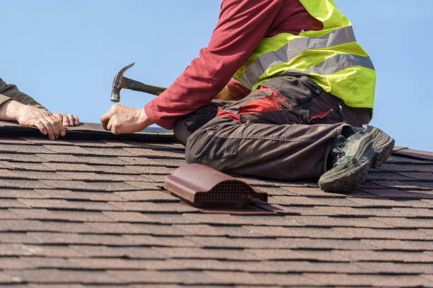 Best Roof Gutter Cleaning  in Ash Flat, AR