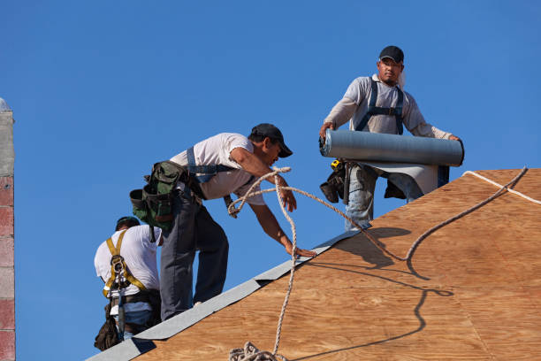 Best Local Roofing Companies  in Ash Flat, AR